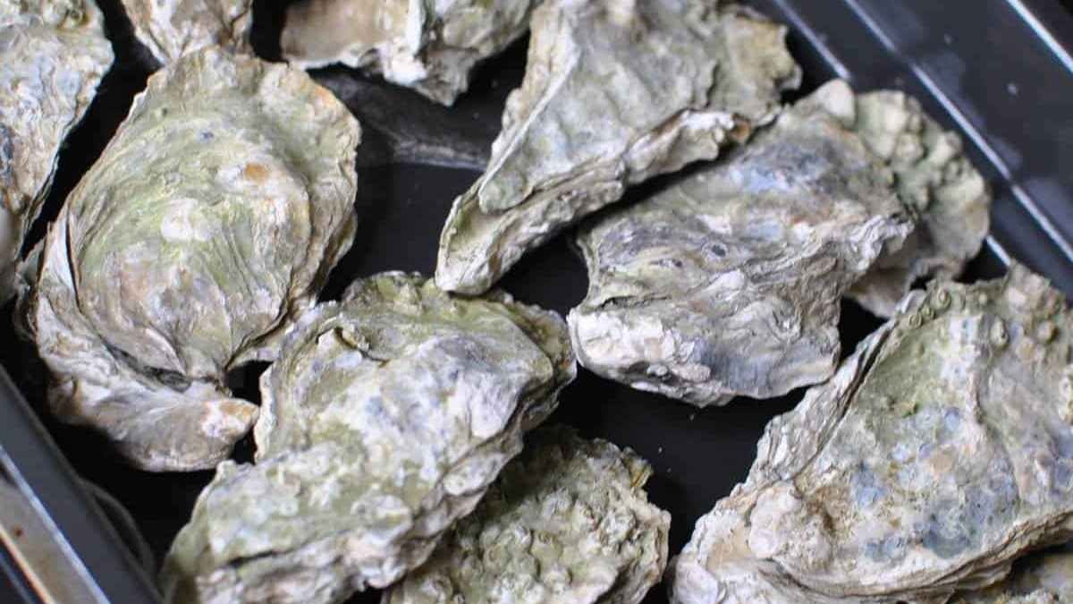 Air Fryer Oysters (Opening Oysters The Easiest Way)