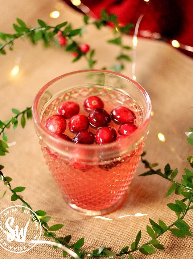 Cranberry Ginger Cocktail