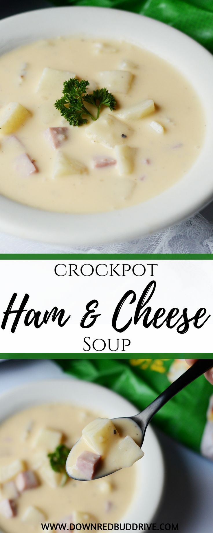 Crockpot Ham and Cheese Soup