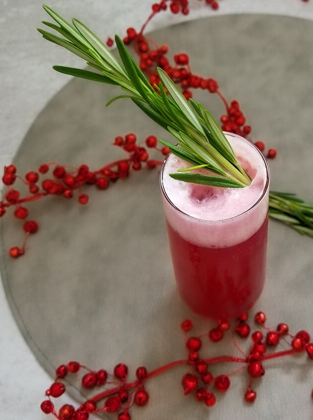 Cranberry Gin Fizz Cocktail