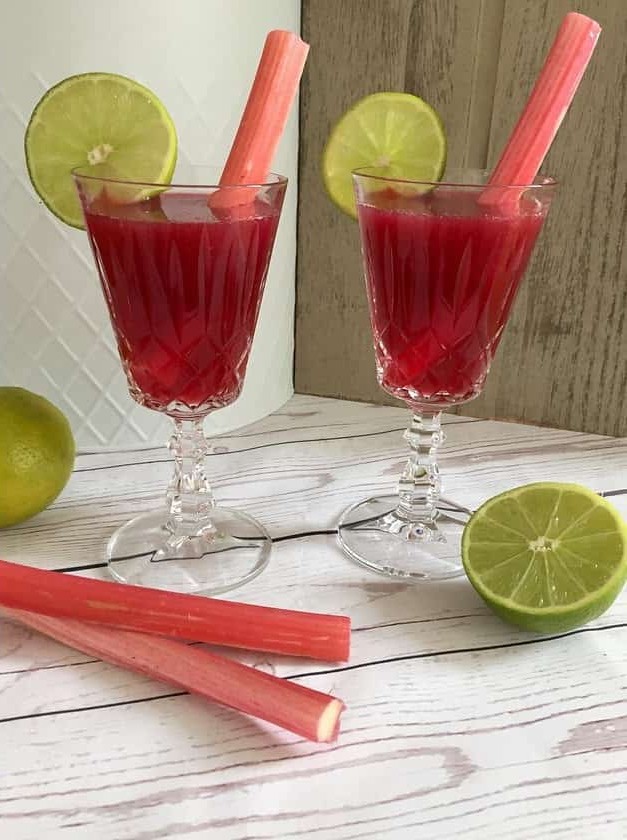 Cranberry – Rhubarb Gin and Tonic Cocktail