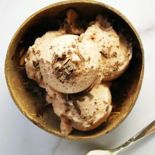 Vitamix Vanilla Ice Cream With Coffee