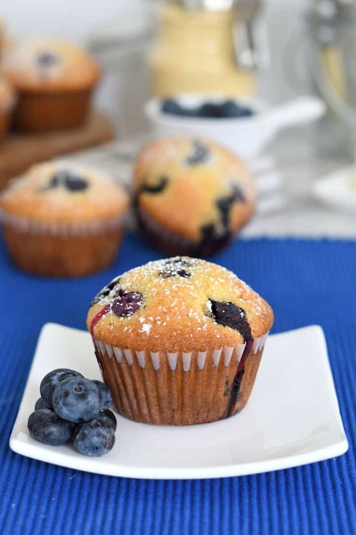 Lemon Blueberry Treats for Every Season