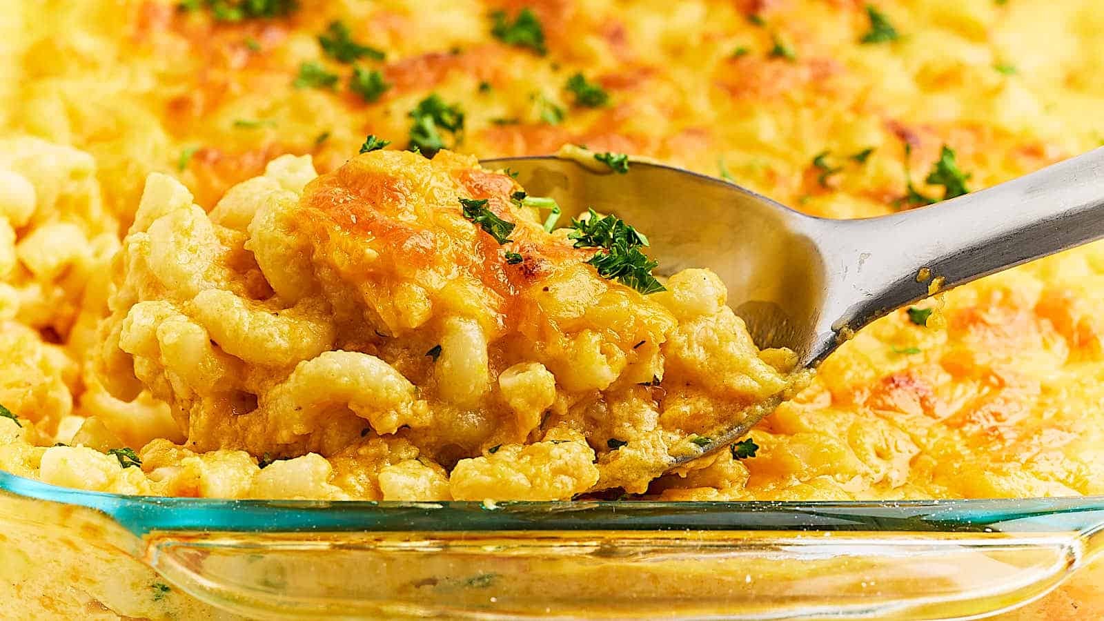 Creamy Butternut Squash Macaroni Bake