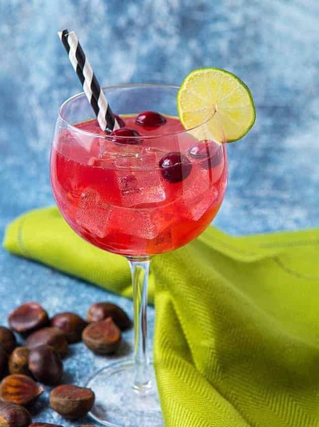 Gin Cranberry Christmas Cocktail Delight