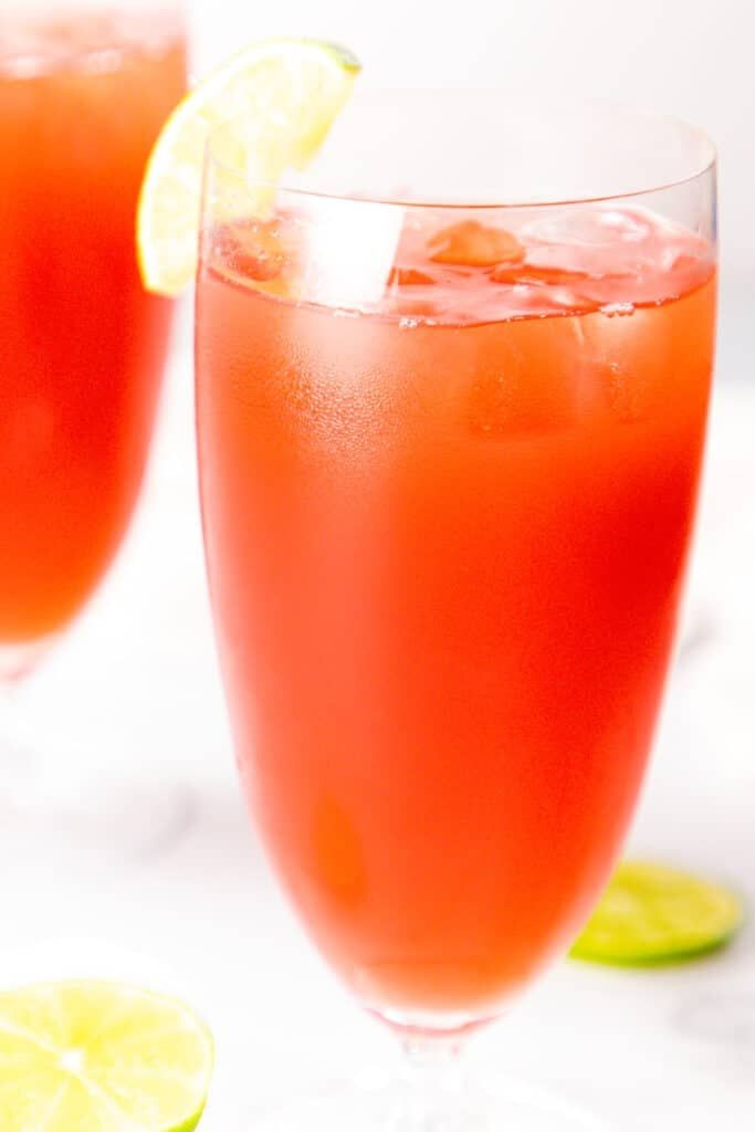 Dark Fruited Vampire Cocktail