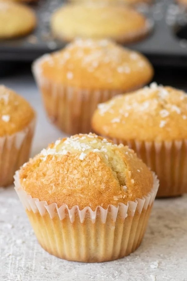 Citrusy Coconut Muffin Delights