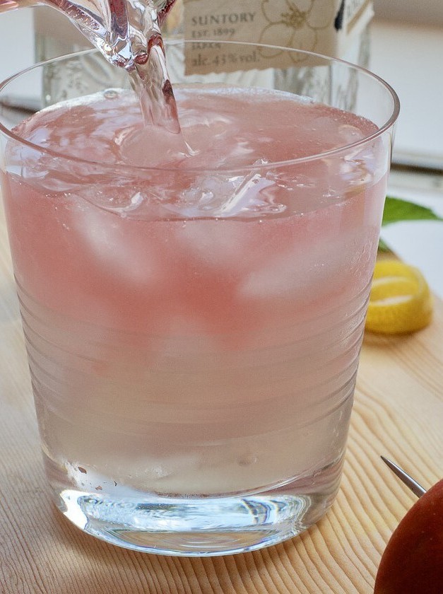 Gin & Apple Fusion Cocktails