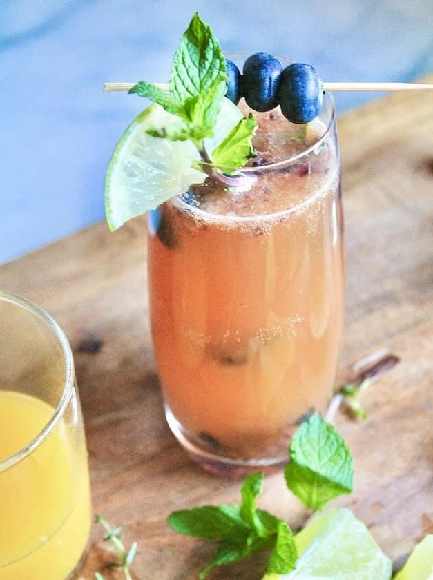 Fruity Gin Fizz for Summer Sipping