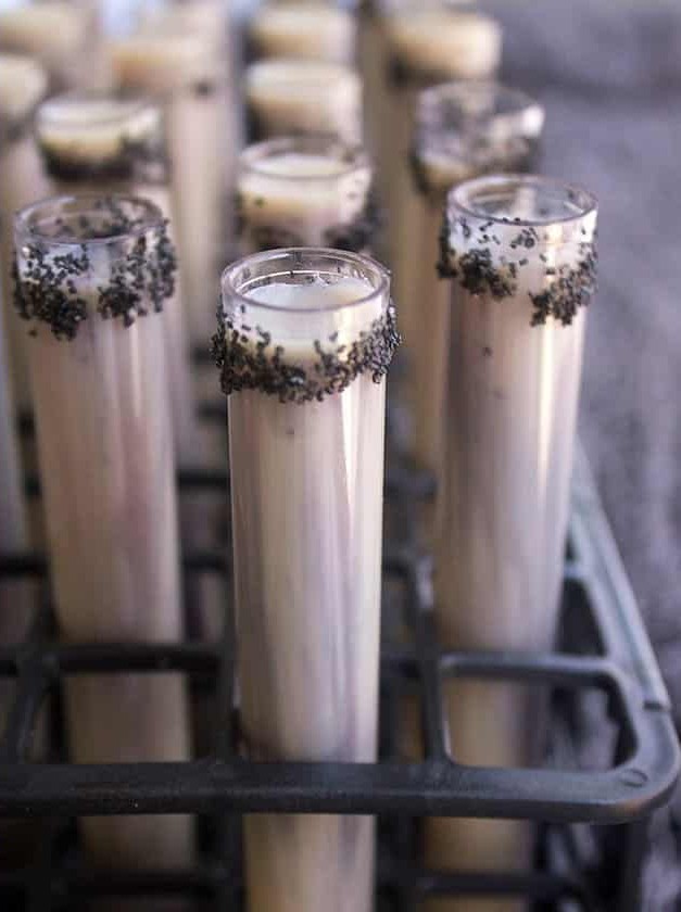 Spicy Chai Amaretto Horror Shots