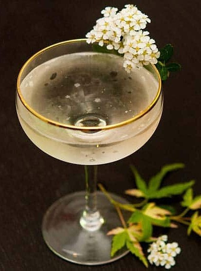 Elegant Elderflower Spritzers with a Twist