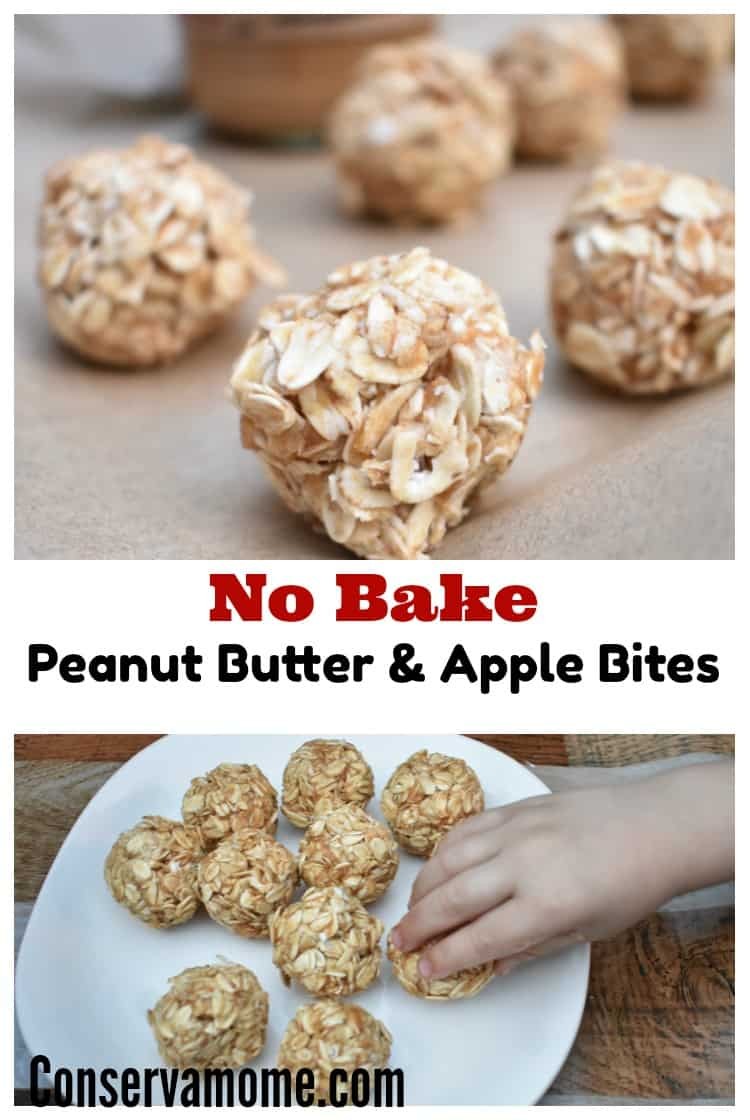 No-Bake Peanut Butter Apple Snack Bites