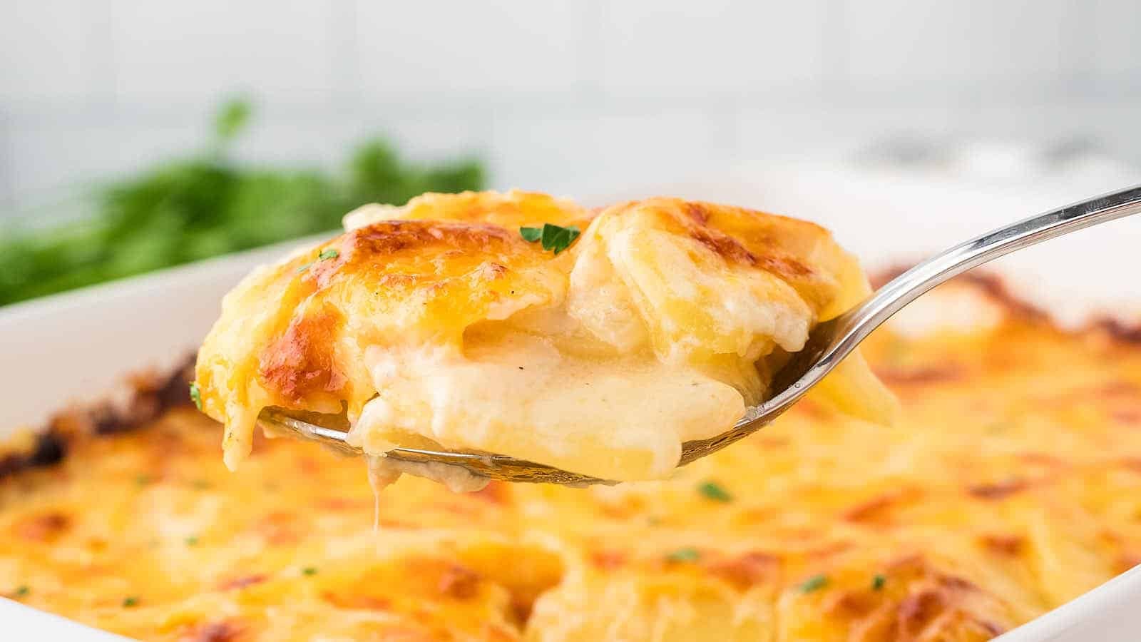 Cheesy Layers of Comforting Scalloped Bliss