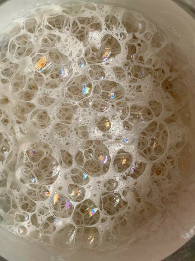 Creating Your Wild Yeast Starter from Scratch