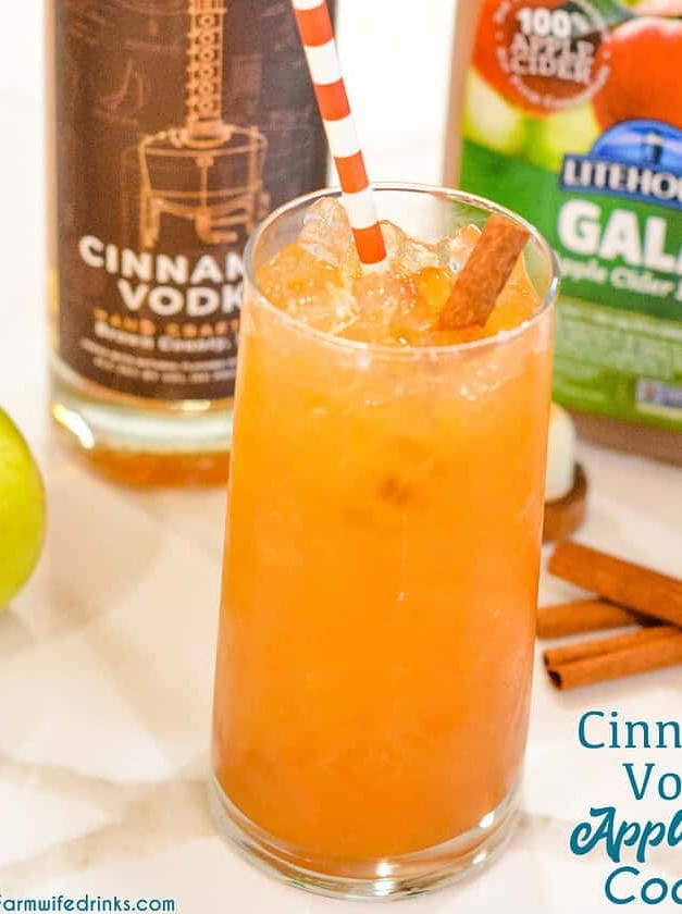 Cinnamon Spark: A Fall Vodka Refresher