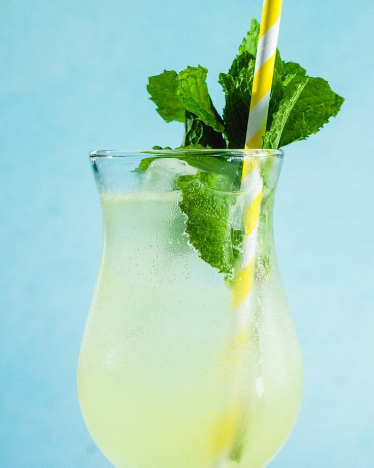 Sweet Peach Mojito Recipe