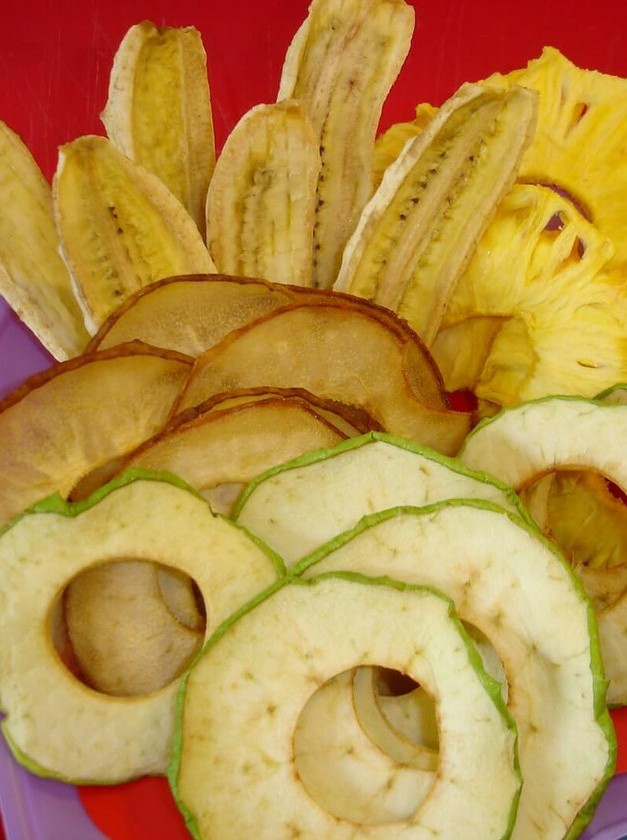 Homemade Dehydrated Fruit Snack Recipes