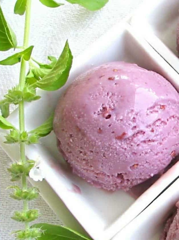Summer Fruit Gelato with Lemon Basil Twist