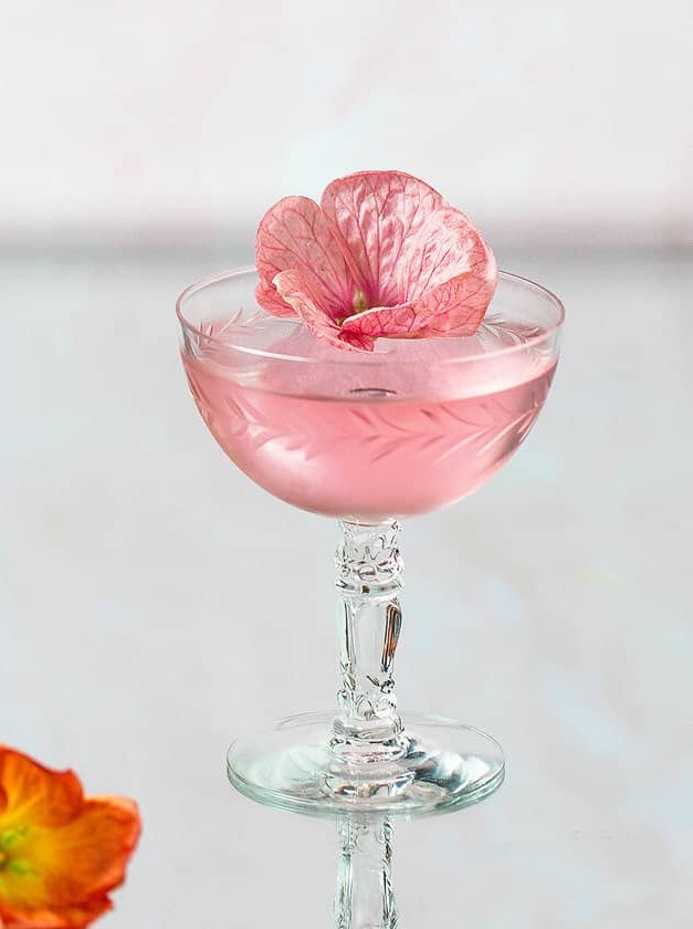 Pink Hibiscus Vodka Martini Delight