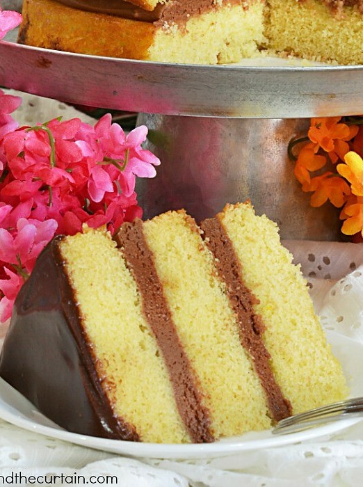 Mexican Fiesta Cake with Rich Chocolate Frosting