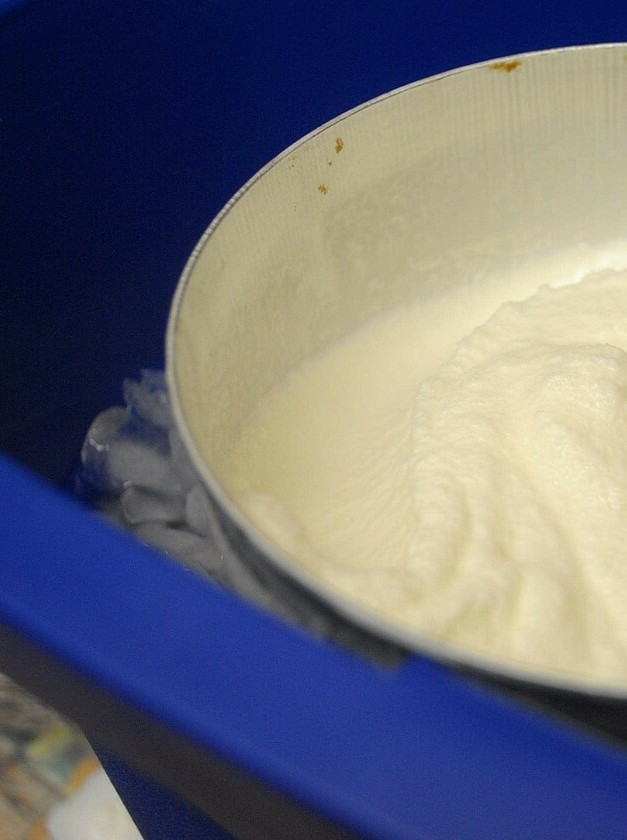 Guilty-Free Vanilla Ice Cream Recipe