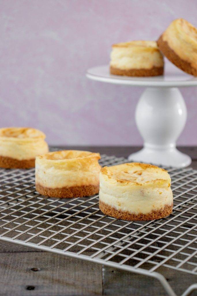 Pumpkin Swirl Mini Cheesecakes Recipe