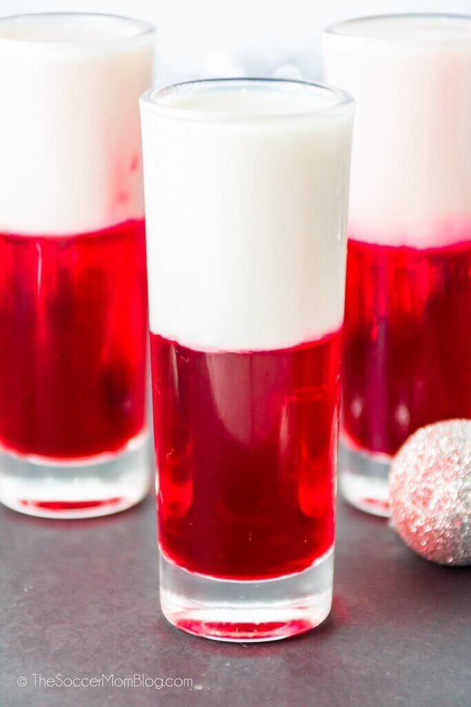 Festive Santa Shots