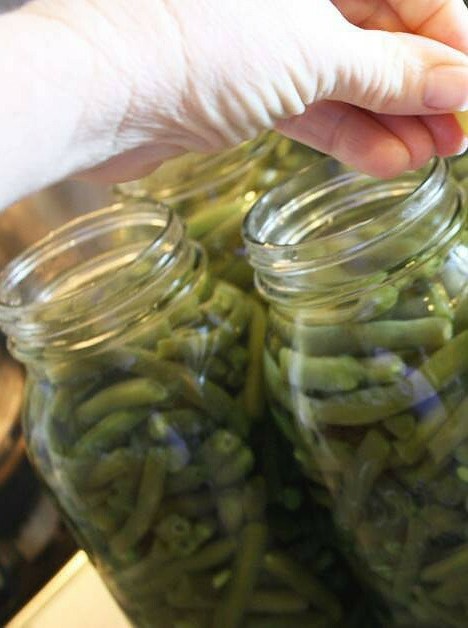 Canning Green Beans with Pressure Cooker Method