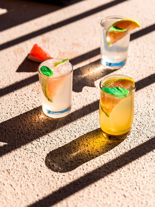 Gin Sparkler with a Twist of Citrus