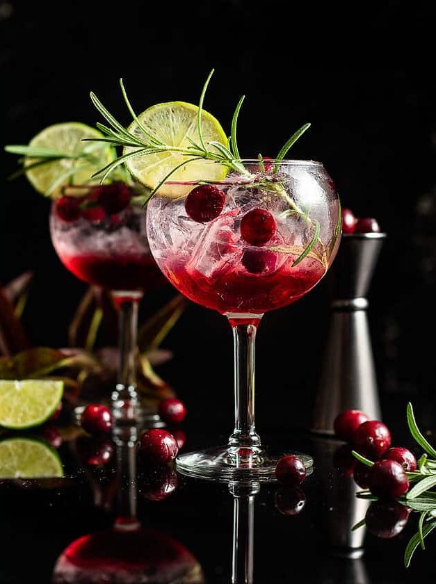 Cranberry Rosemary Gin Tonic Twist