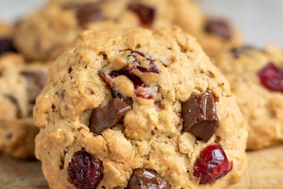 Cranberry Chocolate Chip Oatmeal Treats