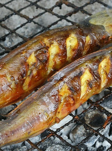 The Delightful Flavors of Pan-Seared Catfish