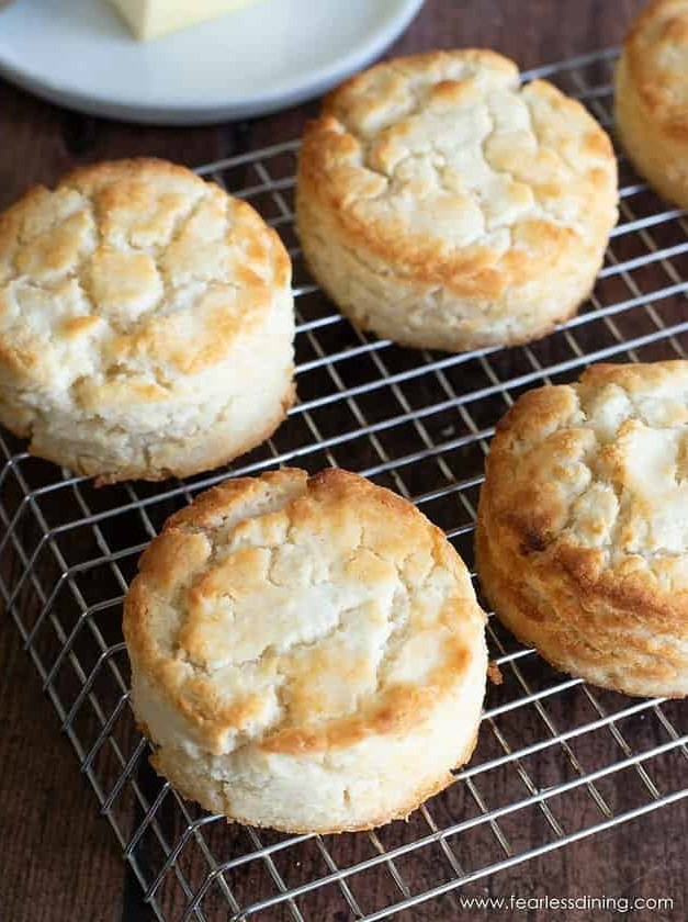 Easy Gluten Free Bisquick Biscuit Recipe