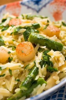 Bay Scallops Orzo Pasta in Creamy Cheese Sauce