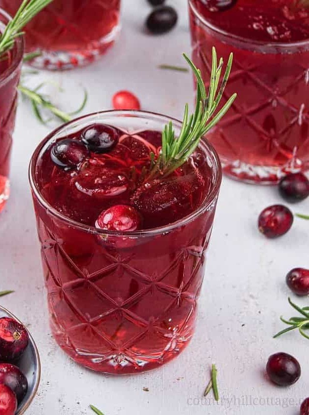 Fruity Cranberry Rosemary Holiday Spritzer
