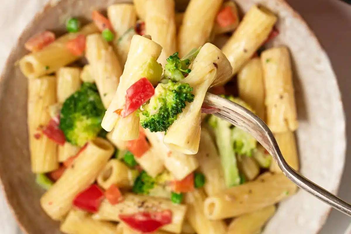 Luscious Veggie Cream Sauce Pasta Delight