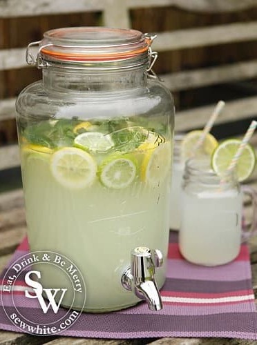 Gin Spritzer Lemonade Refreshment