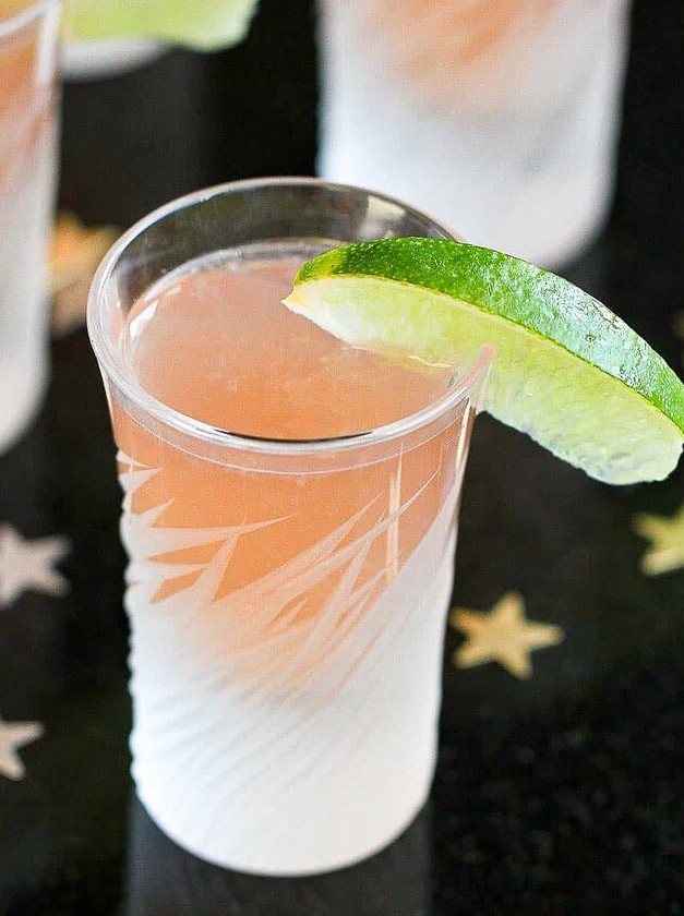 Tart Cranberry Vodka Cocktail