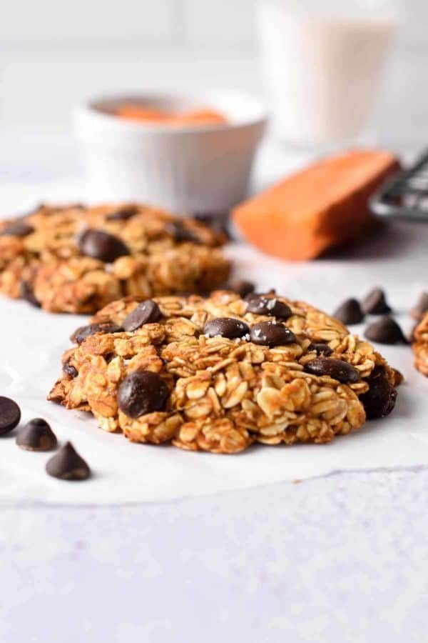 Sweet Potato Delight Oatmeal Bites