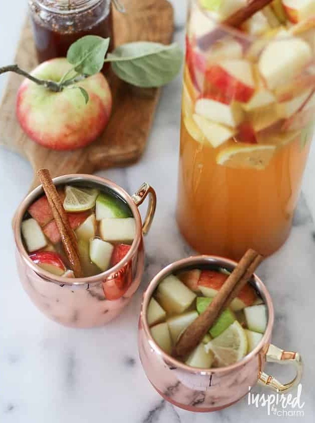 Spiced Apple Cider White Wine Spritzer