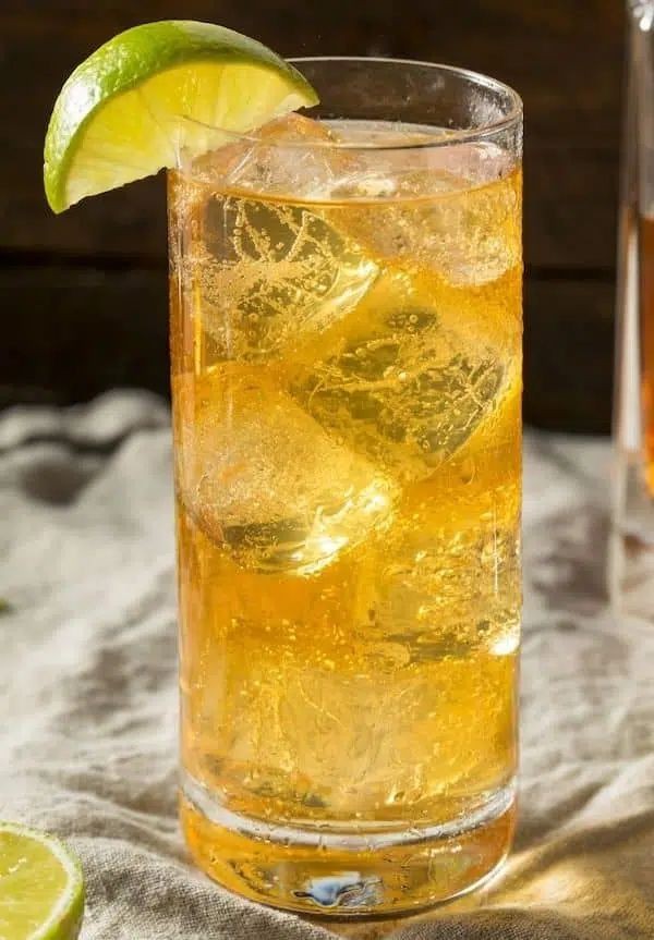 Peruvian Pisco Party Punch