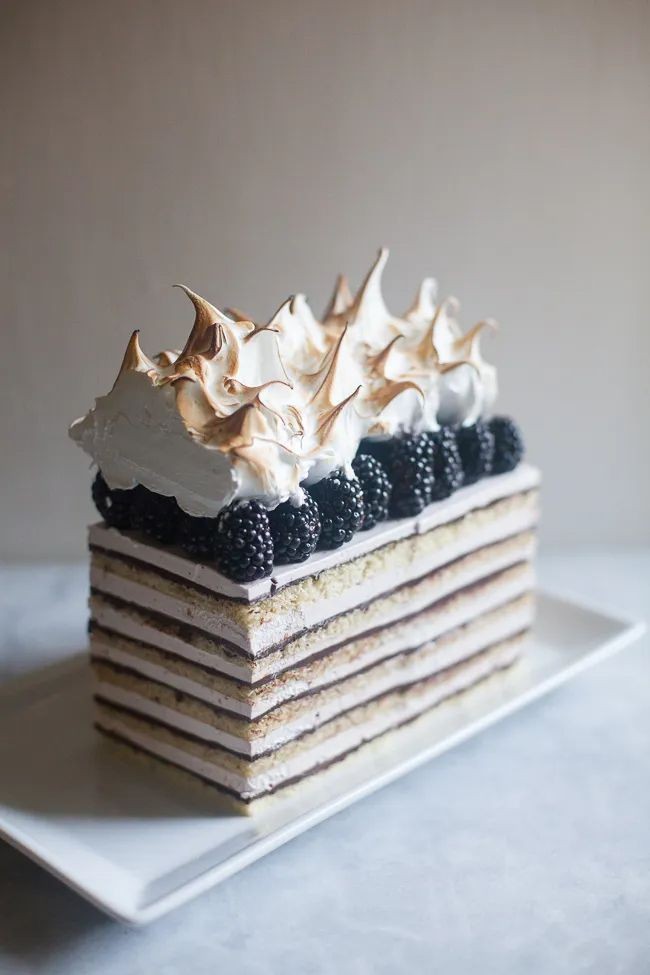 Chocolate Apricot Masterpiece from Austria