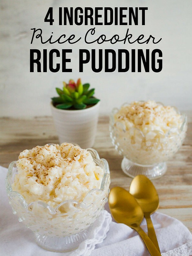 Easy Rice Cooker Pudding Delight