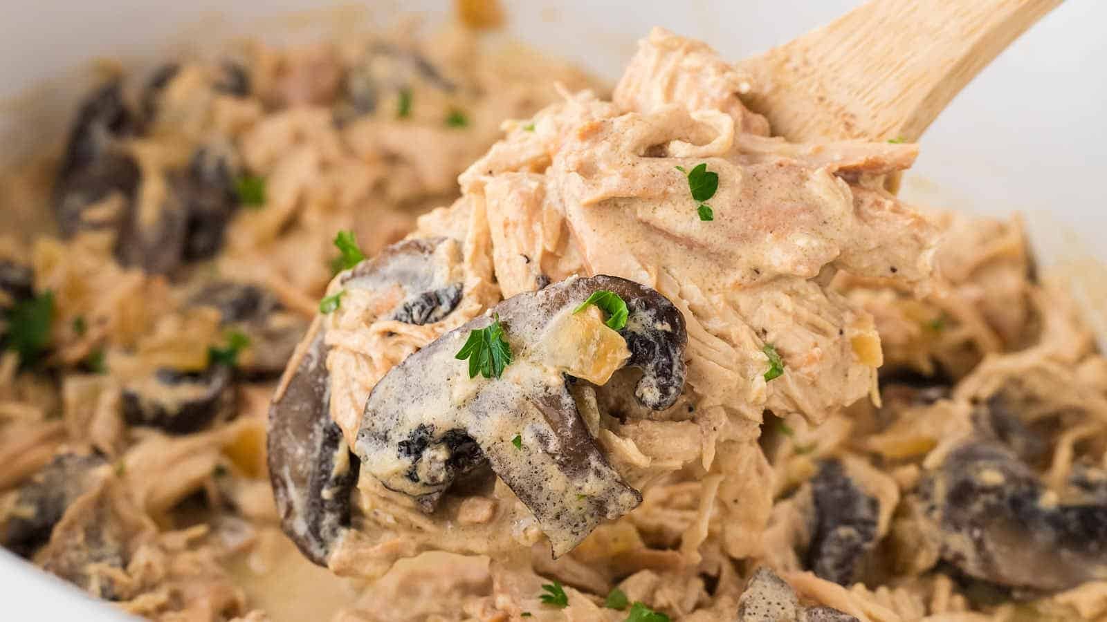 Easy Chicken Stroganoff in a Crockpot