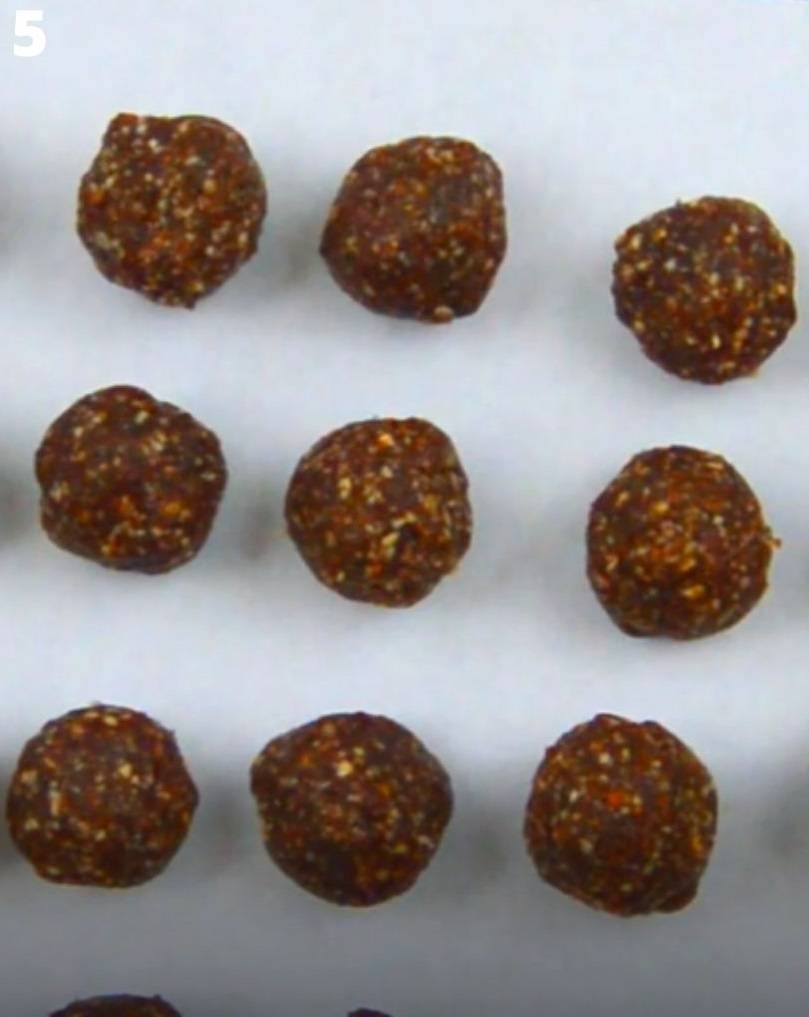 Decadent Coconut Chocolate Bites