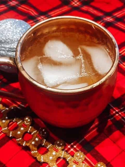 Spiced Moscow Mule Holiday Delight