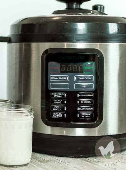 Quick Homemade Yogurt in a Pressure Cooker