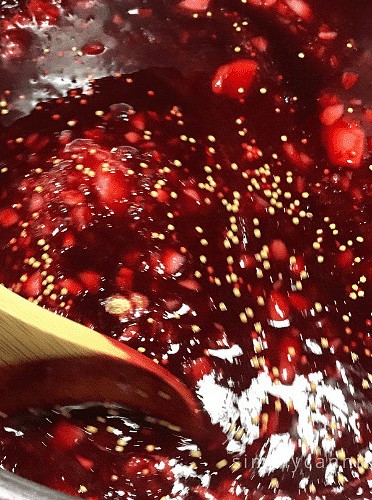 Plum Sauce: Sweet & Savory Flavor Companion