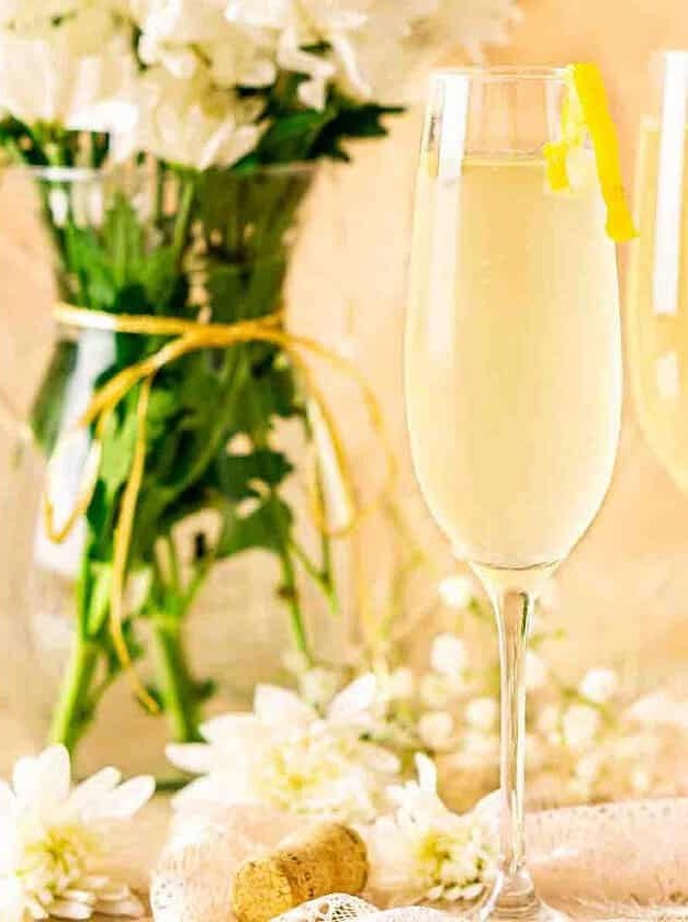 Vodka Sparkler with a Twist of Citrus