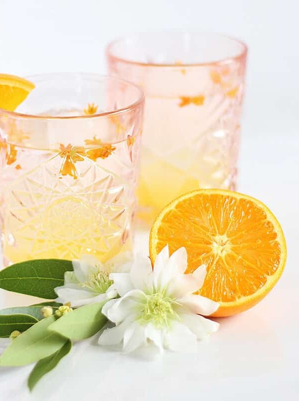 Blossoming Gin Spritz of the Coast